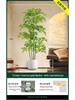 Nandina Luxury Floor-Standing Indoor/Outdoor Bonsai Tree Ornament