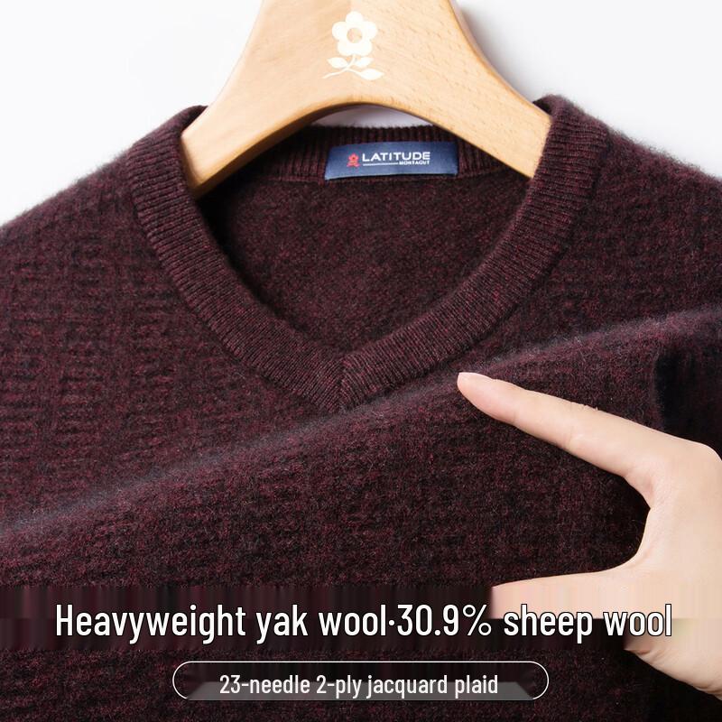 Montagut Men's Wool Blend V-Neck Knit Pullover