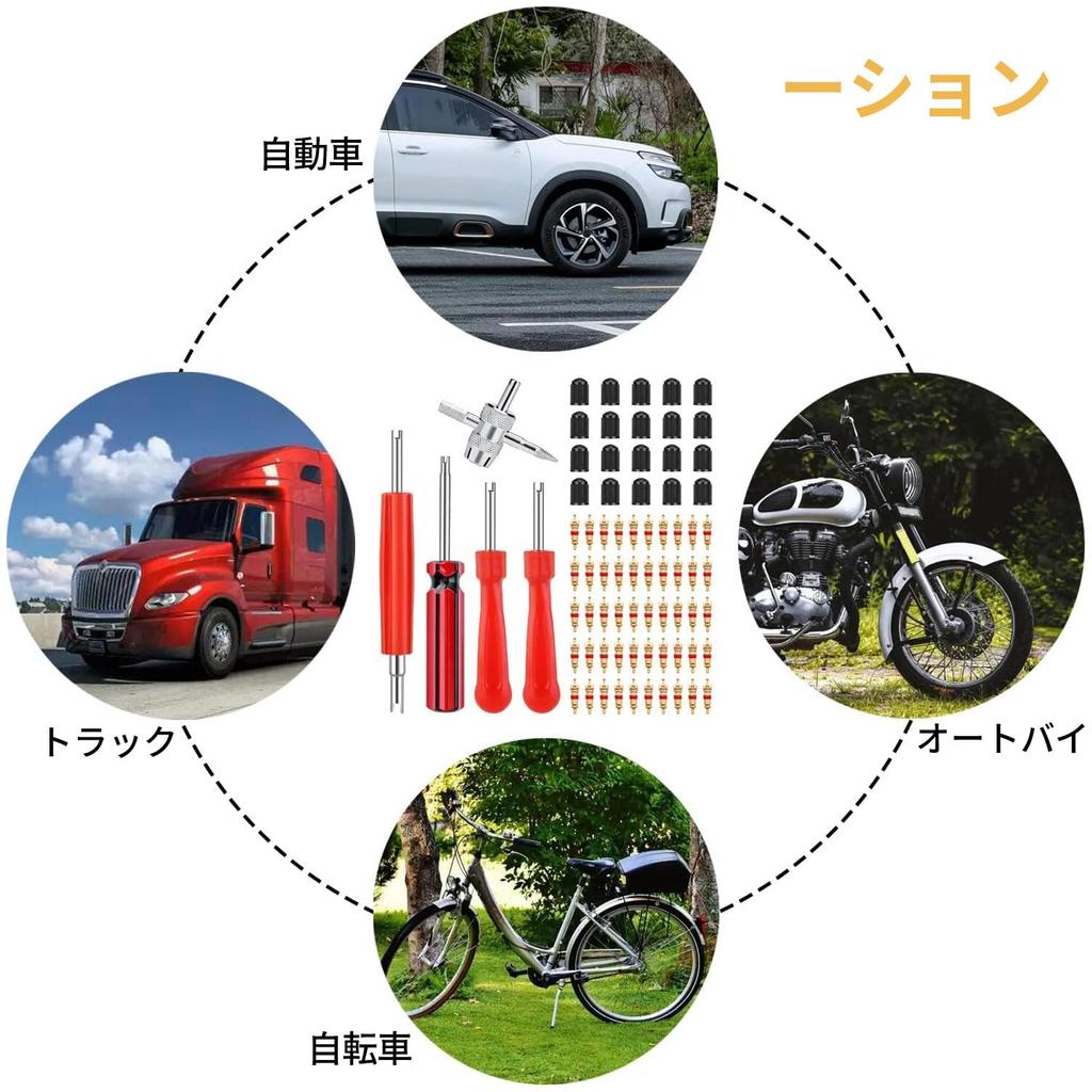 Набор золотников для шин, 33 штуки, Замена шин, Инструмент для извлечения золотников, Прочный, Переходник, Снятие, Воздух