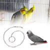 Stainless Steel Pet Birds Parrot Foot Chain Anklet Training Harness  (Psittacula eupatria)