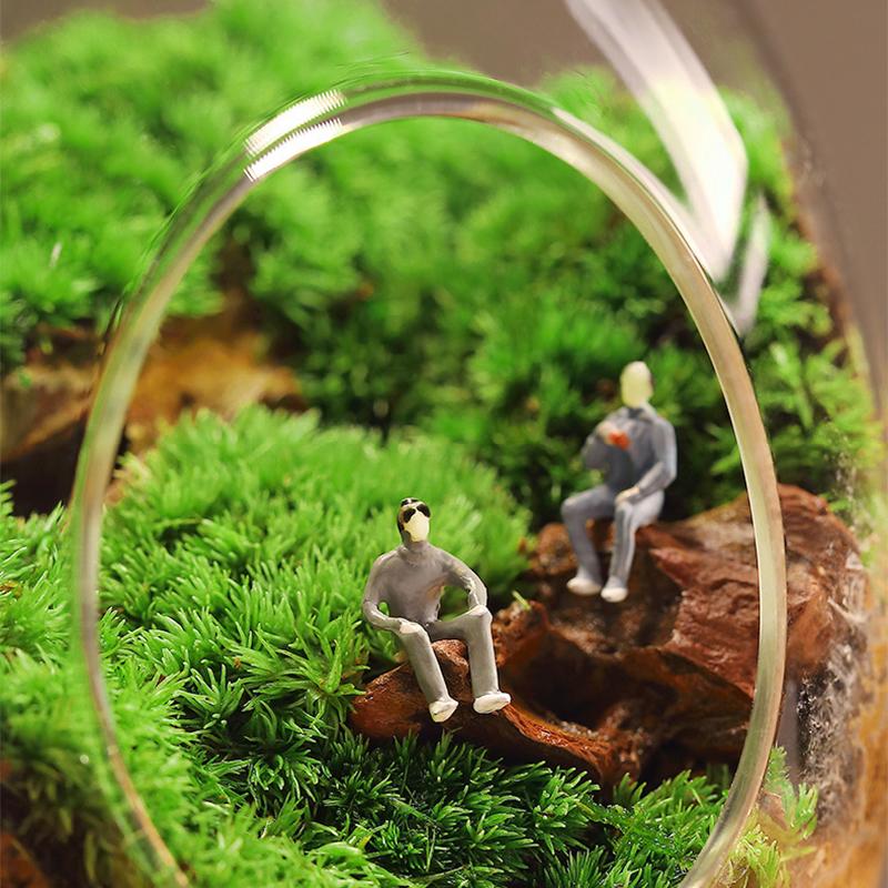 1 шт. креативные новые стеклянные бутылки в форме яйца, суккулентная стеклянная ваза, гидропонный микроландшафтный стеклянный террариум, мох, украшение для дома