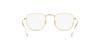 Sunglasses RB3857 FRANK ARISTA 48 [Ray-Ban] 001/GH