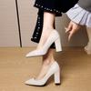 Solid Color High Heels Women's Pointed Head Light Mouth Single Shoes Large Size Temperament Thick Heel Workplace Work Women's Shoes Women's Fashion
