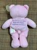 [USED] Teddy Bear Plush Toy