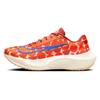 Nike Zoom Fly 5 Premium Blue Ribbon Спортивные мужские кроссовки Оранжевый Safety-Orange Burnt-Sunrise FQ7679-800