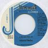 7inch Record ADMIRAL BAILEY - Legalize It Jammys 1991 Jamaica Reggae, Ska & Dub