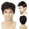 Synthetic Male Wigs Dark Brown Short Straight Hair Wig for Men Cosplay Halloween Costume Christmas Natural Wigs Style