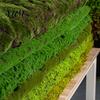 Simulation Moss for Garden Fake Mat, Realistic Artificial Faux Green Grass, 39" x Decorative Crafts Natural Looking Turf Crafts, DIY Fairy Garden,