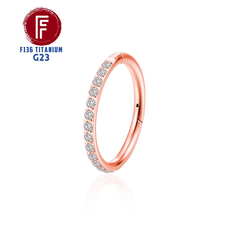 G23 Titanium Side Prong Set Half Circle Cubic Hinged segment Zircon Nose Cilcker Conch Piercing 6/8/10/11/12mm Hoops