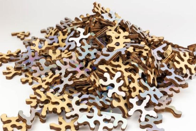 GEMTURT Holographic Impossible Puzzle - 300 Piece Wooden Jigsaw Puzzle, the Hardest Puzzle Ever [Used]