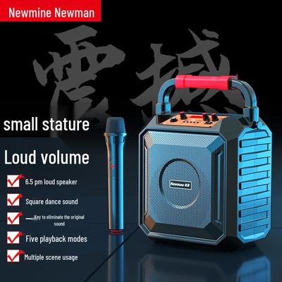 Беспроводная Bluetooth-колонка для караоке Newman K220, штекер CN (адаптер в комплекте)