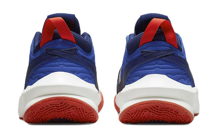 Nike Детские баскетбольные кроссовки Team Hustle D 10, нескользящие, износостойкие, низкие, CW6735-103