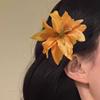 1 пара женских заколок для волос с крупным цветочным декором, боковые заколки для волос, без волос