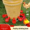 Poultry Automatic Drinking Bowl: Chicken Drinker Cup