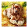 DIY 3D Алмазная картина животное собака вышивка крестиком домашний декор