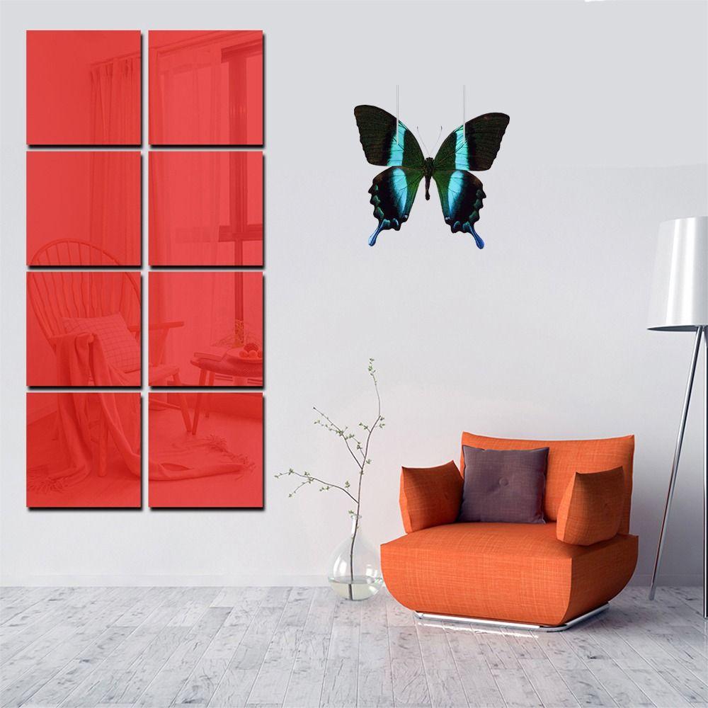 100Pcs Good Flexibility Entomology Education Needle Insect Dissections Supplies Specimen Pins Pin