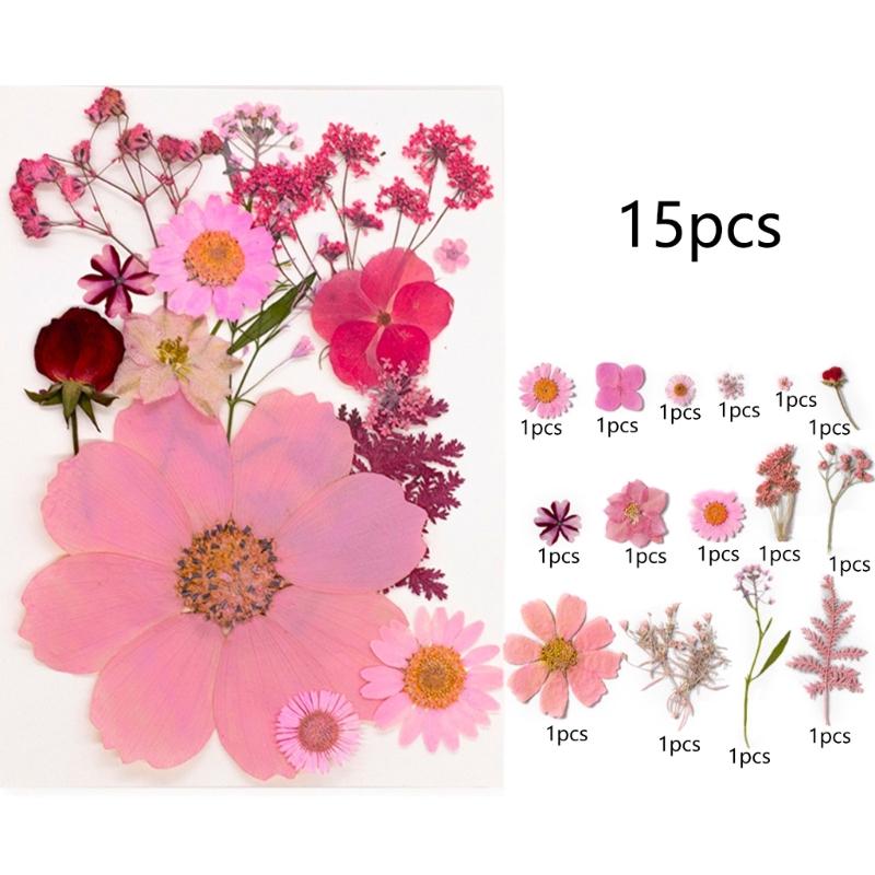 495Piece Dried Flower Craft Set Including Pressed Blooms and Butterfly Stickers for Resin Art and Journal Decorating