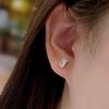 Small Fresh and Personalized Zircon Earrings for Women  High-end Ins Versatile Non-fading Earrings and Earrings
