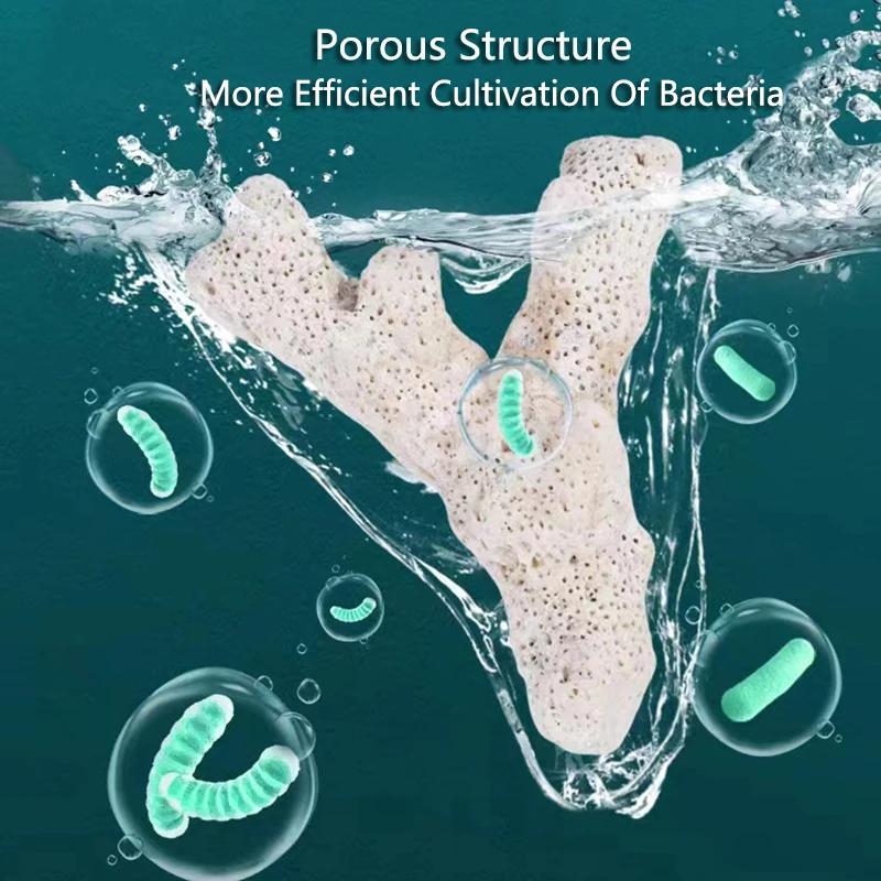 Высококачественный натуральный рифовый коралловый костный аквариумный фильтрующий материал биологический материал коралловый песок для стабильного pH фильтрация аквариума