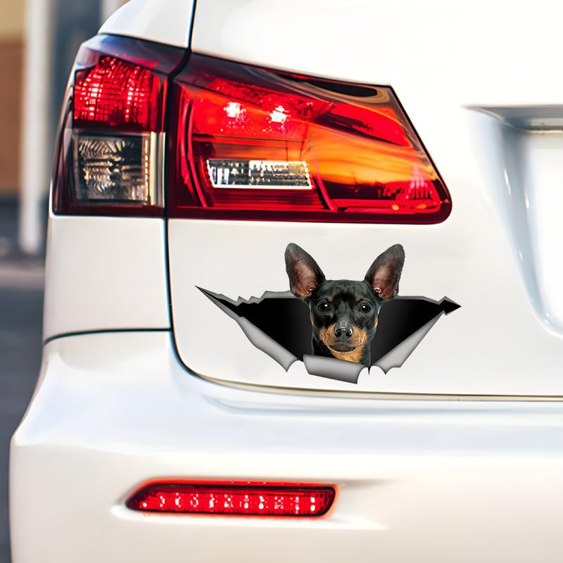 Cute Pinscher 3D Break the Wall Car Sticker, Waterproof Vinyl Material Accessories, Interesting Creativity For Cars, Trucks, Motorcycles, Walls