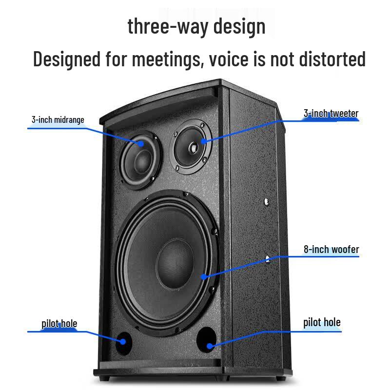 SAST K5V Dual 8-inch Conference Speaker System (CN version)