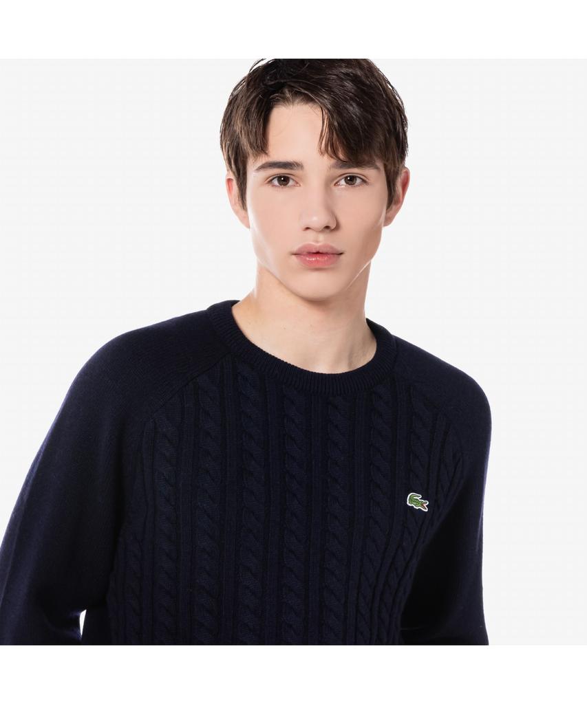 Мужской вязаный свитер LACOSTE с косами, круглый вырез Ah806E-54N Hde