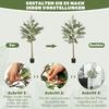 Silk Leaf Artificial Olive Trees