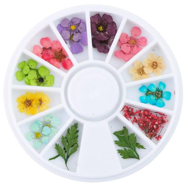 Dried Flower 12-piece Set, Mixed Colors, 1 Set
