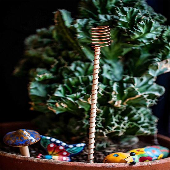 6 шт./компл. 12-дюймовый электрокультурный кол для растений, деревянный стержень, садовые растения, выращивание овощей, электрокультура, медная проволока, катушка, антенна, садовые принадлежности