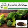Органический - Брокколи - Калабрезе - 100 семян - С горшечным субстратом для лучшего выращивания - Brassica oleracea