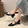 Women Shoes Pointed Toe Chunky Sandals 2024 Fashion Spring Dress Shoes Elegant Buckle Pumps Outdoors Solid Color Female Shoes