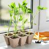 12-Cell Seedlings Tray Biodegradable Plant Pots Breathable Seeds Starter Tray with Tags And Tools for Flowers Vegetables Herbs Home Gardening