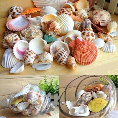 60 шт. Смешанные морские ракушки, поделки, морские ракушки, декор для аквариума, реквизит для фото, ракушка, ракушка, аксессуары для украшения дома
