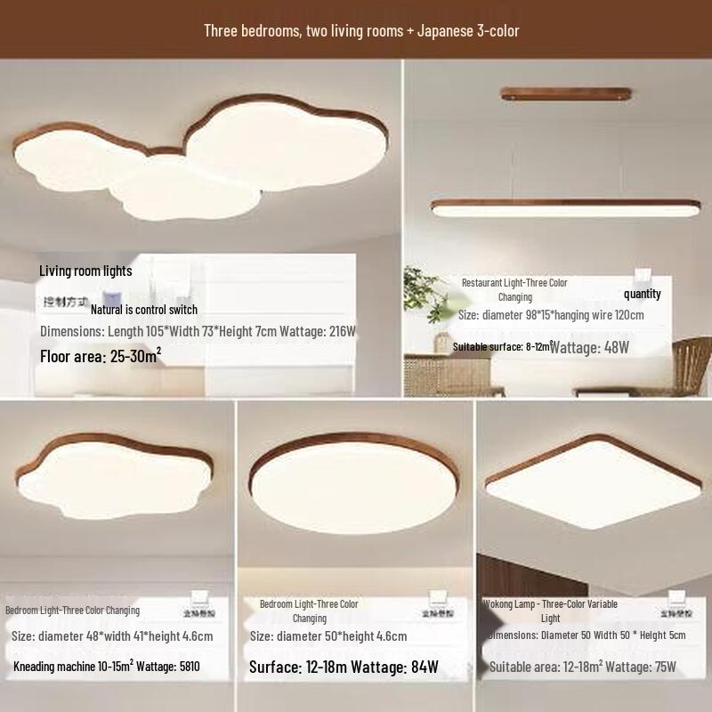 Modern Nordic Whole House LED Ceiling Lamp