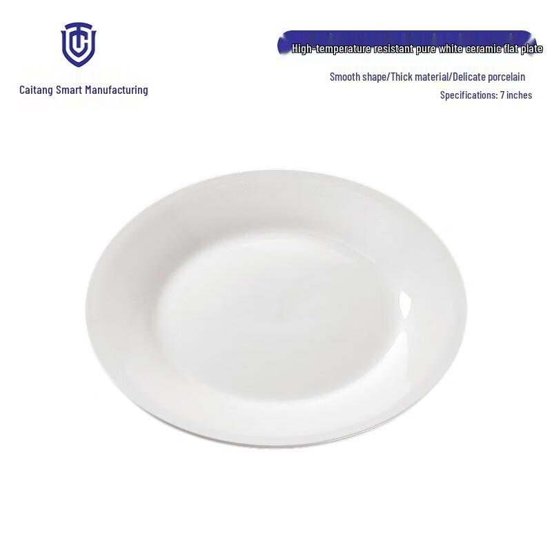 European White Ceramic Buffet Steak Plate