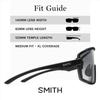 SMITH Wildcat Матовый черный Фото C to (CP Серый)