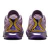 Nike Lebron 21 EP Freshwater Мужские кроссовки Purple Violet-Dust Purple-Cosmos FV2346-500
