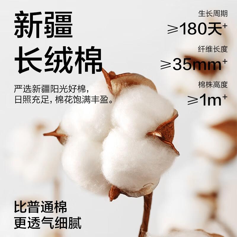 Jingshumian Jingdong, Own Brand Cotton Long-Staple Cotton Antibacterial Deodorizing Breathable 100% Pure Cotton Men's Short Socks [Clearance Sale]