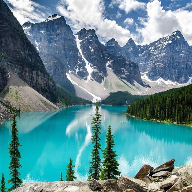 5D DIY Алмазная картина Полный круг Пейзаж Дерево Отражение Вышивка Картина Вышивка крестом