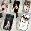 Dog Jack Russell Terrier For Samsung Galaxy M12 M32 M52 M14 M34 M54 M21 M51 M31 M30s M20 M15 M55 M13 M33 M53 Case