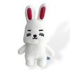 [USED] Mini Teen Seventeen ChaeCherry Seungcheol S.Coups Plush Toy