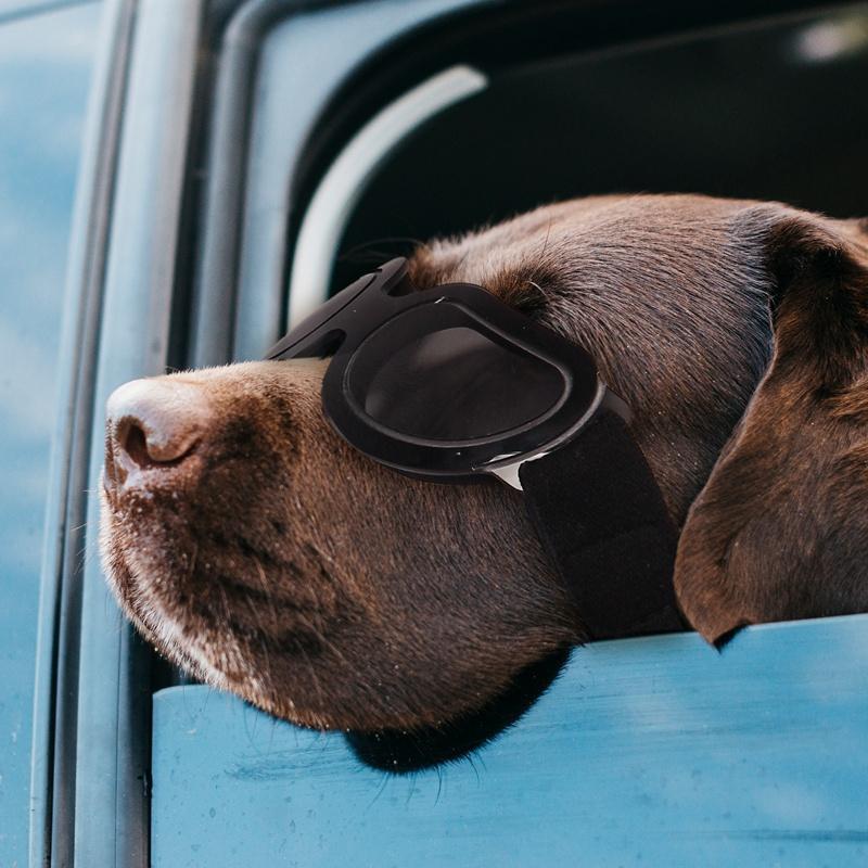 Защита от ультрафиолета для собак, солнцезащитные очки с защитой от запотевания, защита от износа глаз с регулируемым ремешком
