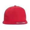 FLEXFIT Childrens/Kids Pro-style Twill Snapback Cap