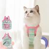 Summer Dog Contrast Cute Puppy Pocket Colored Striped Traction Suspender Cat Two-legged Pet Teddy Clothes