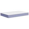 VidaXL Matelas en mousse moyennement doux 120x200 cm 373008