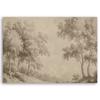 Canvas Print,  Forest Trees Nature