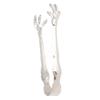 Stainless Steel Ice Tongs Food Grade Serving Clip Kitchen Tools Chicken Feet Tongs  Grilling