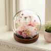 Eternal Flower Spherical Glass Cover Ornament Qixi Festival Valentine's Day Gift Rose Flower Finished Eternal Flower Craft
