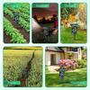 High-Power Multifunctional Animal Repeller: Bird, Snake, Mouse Control for Outdoors