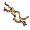 BioCurly Curly Liana for Terrarium 20-25cm
